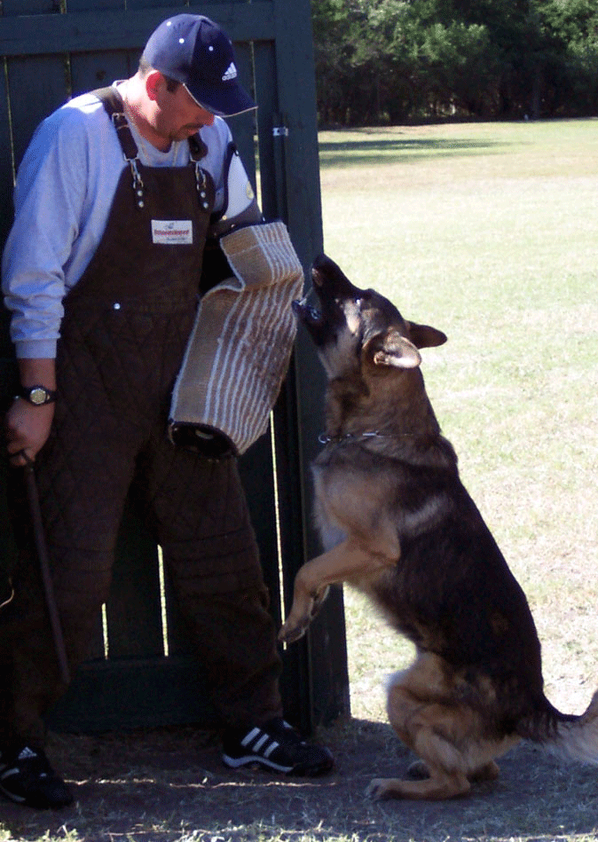 Charles Ottesen and Dannys dog "B"